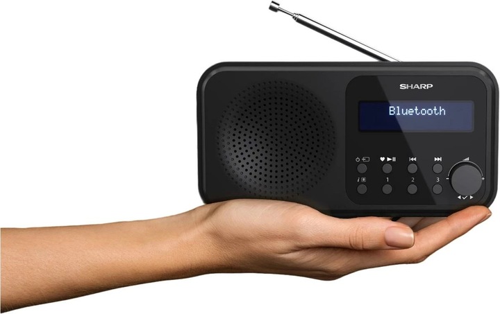 Image du produit Sharp DR-P420 (DAB+ DAB, FM, DAB, Bluetooth)