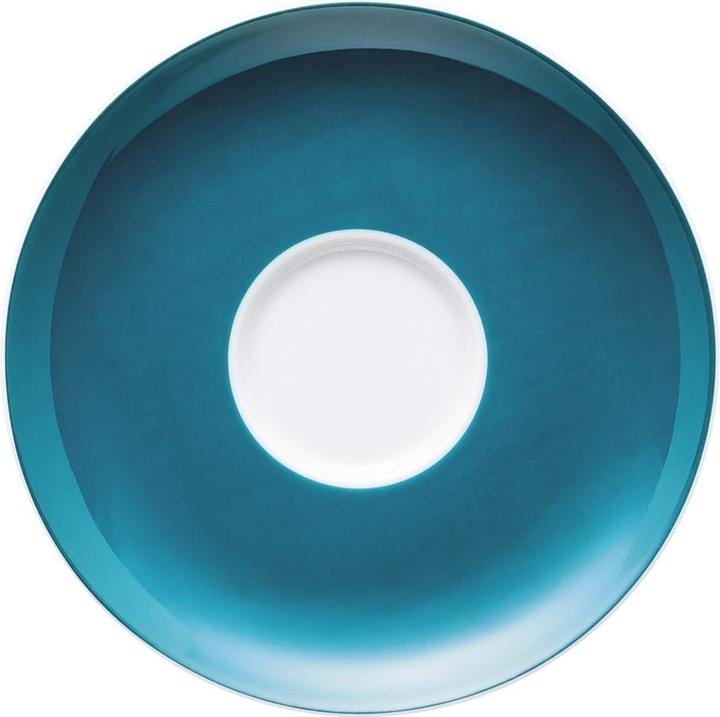 Actual product image Thomas 10850-408544-14741 (1x)