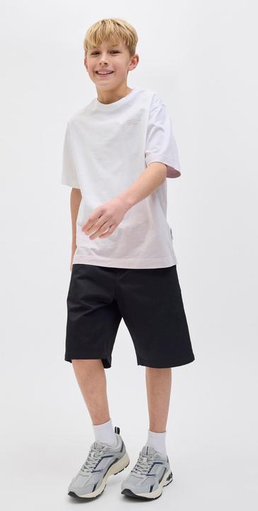 Actual product image Jack & Jones Relaxed Fit Loose Fit Shorts Loose Fit Shorts (146)