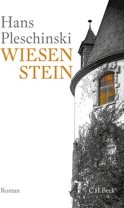 Produktbild Wiesenstein (Deutsch, Hans Pleschinski, 2018)