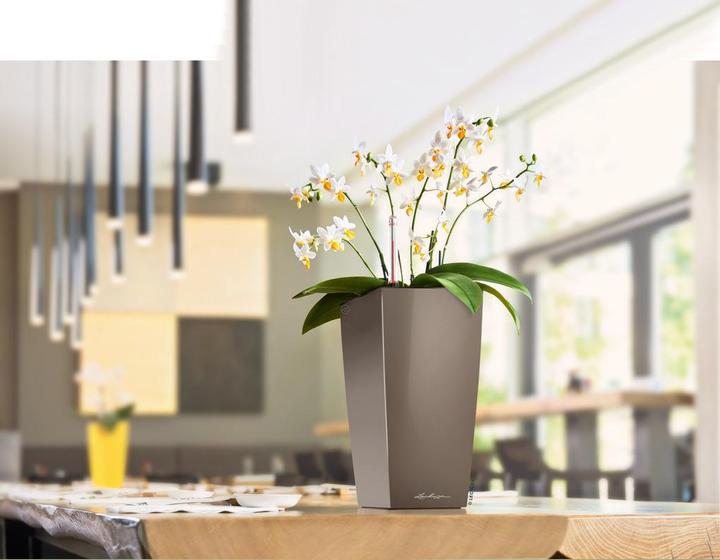 Produktbild Lechuza Maxi Cubi (14 cm)