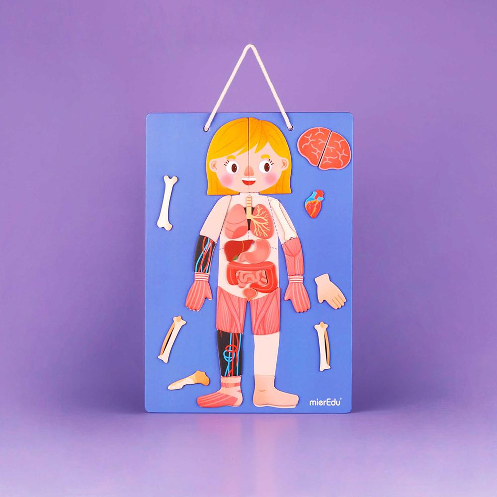 Thumbnail - mierEdu Magnetic Learning Box - All About Body and Emotion (Danish) - (ME097D) (Dänisch)
