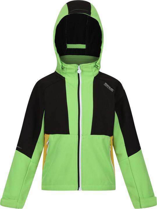 Regatta Haydenbury Softshelljacke (146, 152)