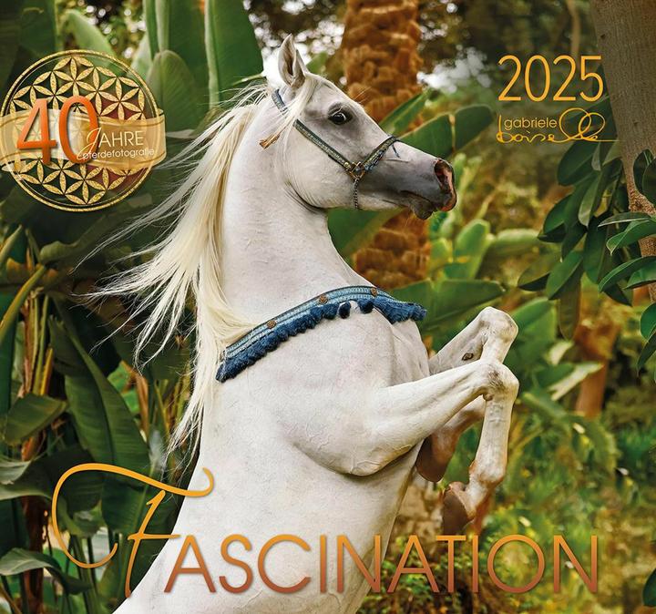 Fascination 2025, m. 1 Beilage (Deutsch, Englisch)