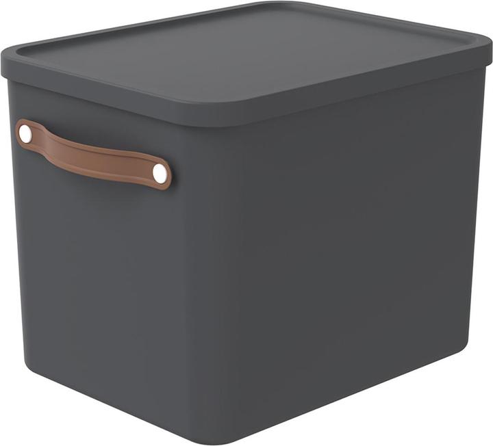Produktbild Rotho Maloja (40 x 29 x 29.5 cm, 27 l)