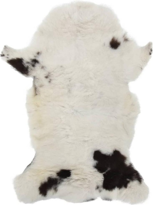 Actual product image VidaXL Cristian