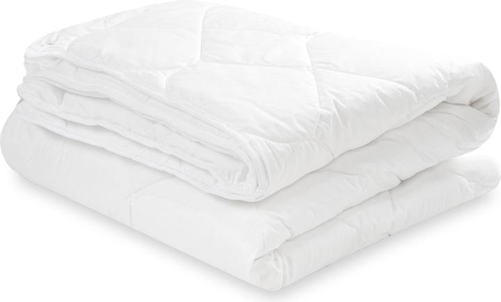 Actual product image Julius Zöllner 4 seasons (100 x 135 cm)