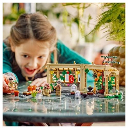 Actual product image LEGO Schloss Hogwarts: Kräuterkundeunterricht (76445, LEGO Harry Potter)