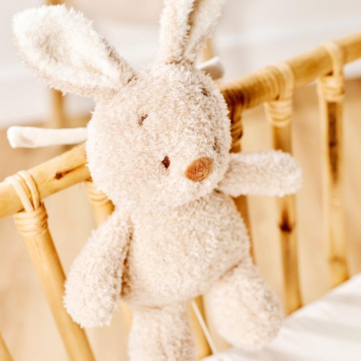 Productafbeelding Nattou NA Teddy musical baby rabbit 16cm
