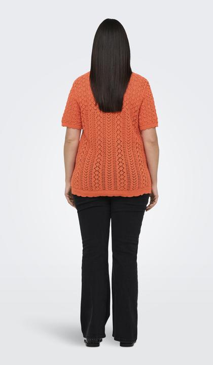 Image du produit Only CARSAGA Gestricktes Oberteil Gestricktes Oberteil (S)