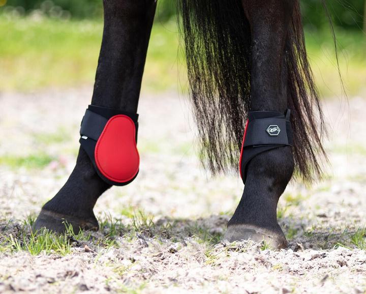 Immagine prodotto Qhp Protezioni per cavalli