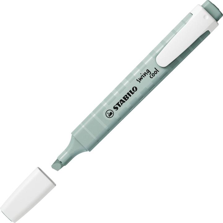 Image du produit STABILO Swing Cool (Vert terre, 4 mm, 1 x)