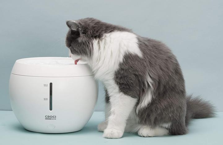 Produktbild Croci Aqua (200 cl)