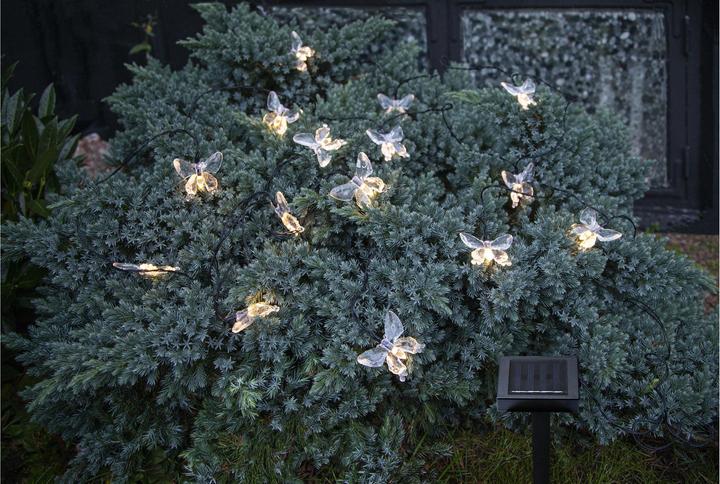 Immagine prodotto Star Trading Papillon (0.18 m)