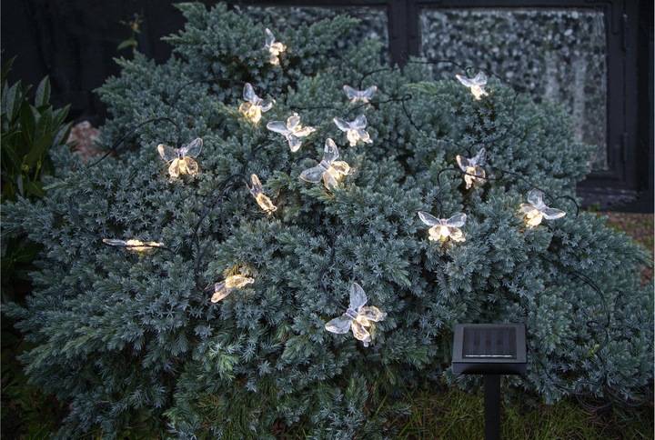 Produktbild Star Trading Papillon (0.18 m)