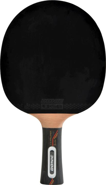 Produktbild Donic Schildkröt Waldner 5000