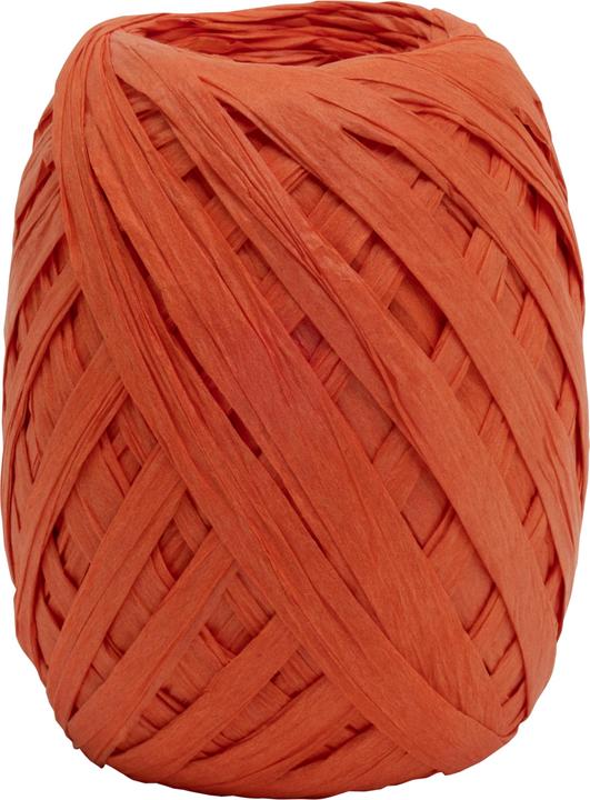 Goldina Raphia Paper Raffia (Ruban, 1 x)
