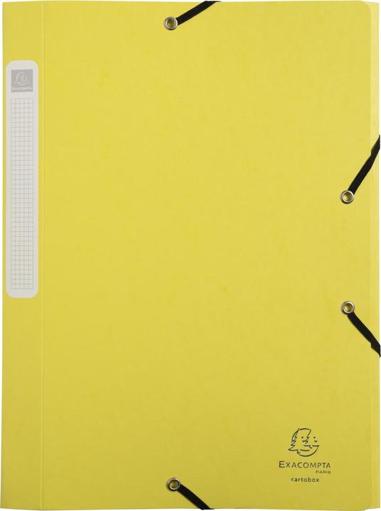 Actual product image Exacompta Archive boxes (A4, 25 mm)