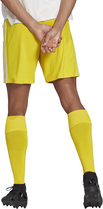 Image du produit adidas Squadra 21 Short (XL)