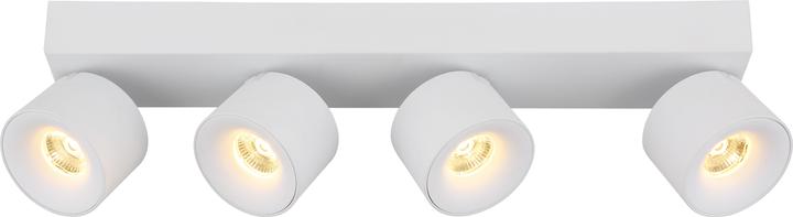 Actual product image Globo Rae