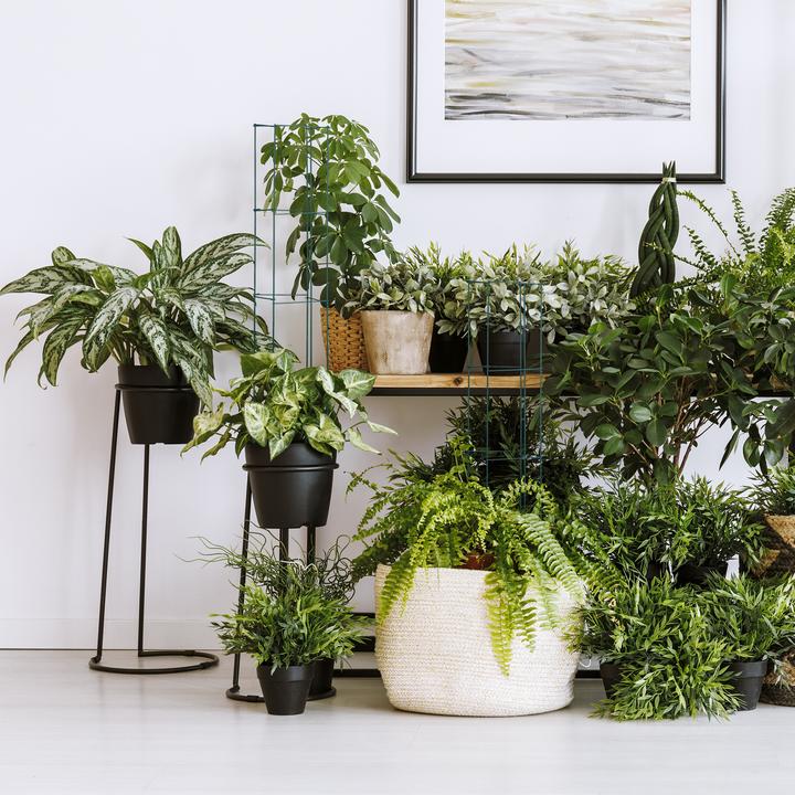 Actual product image Relaxdays 3x climbing aid