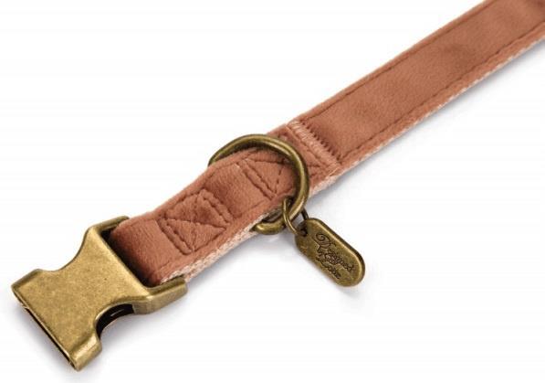 Actual product image Designed by Lotte Velura (30, Dog, Walks)