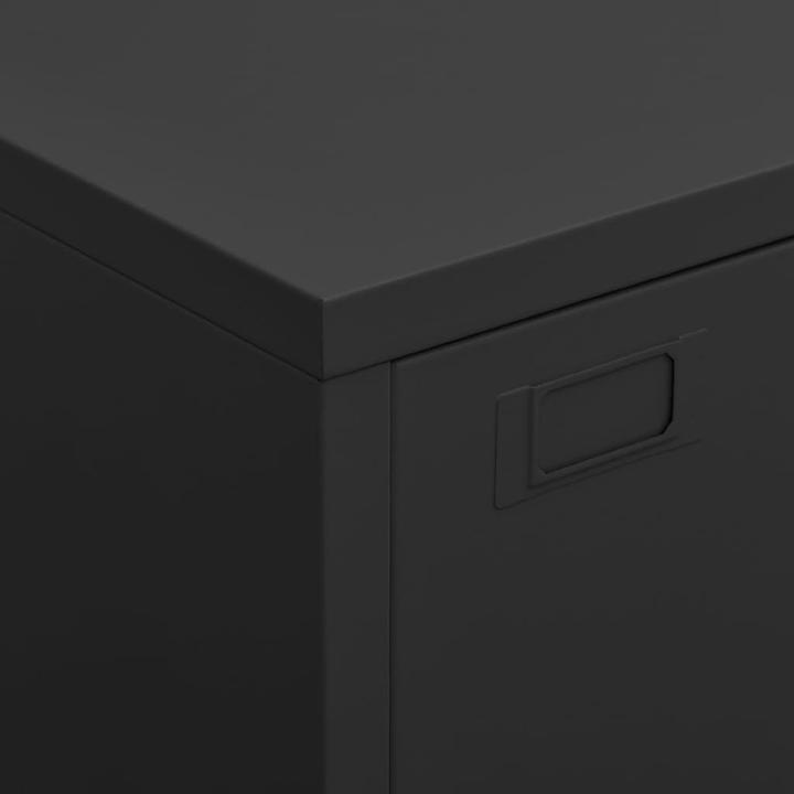 Immagine prodotto vidaXL Aktenschrank (75 x 40 x 115 cm)