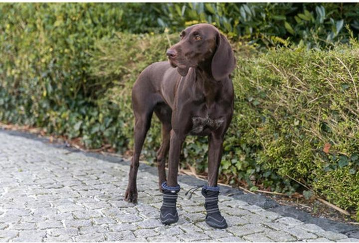 Produktbild Trixie Walker Active Long protective boots, S, 2 pcs., black (S, Hundeschuhe)