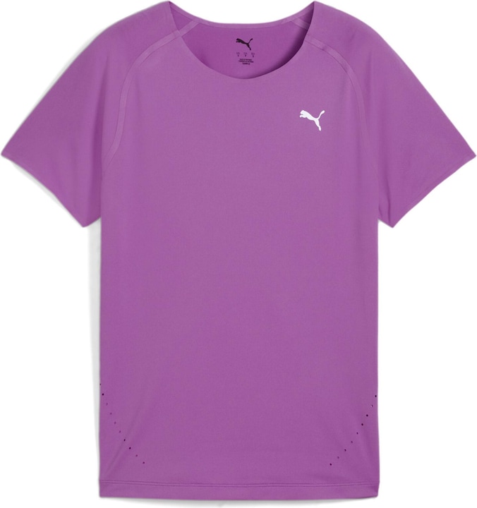 Viola