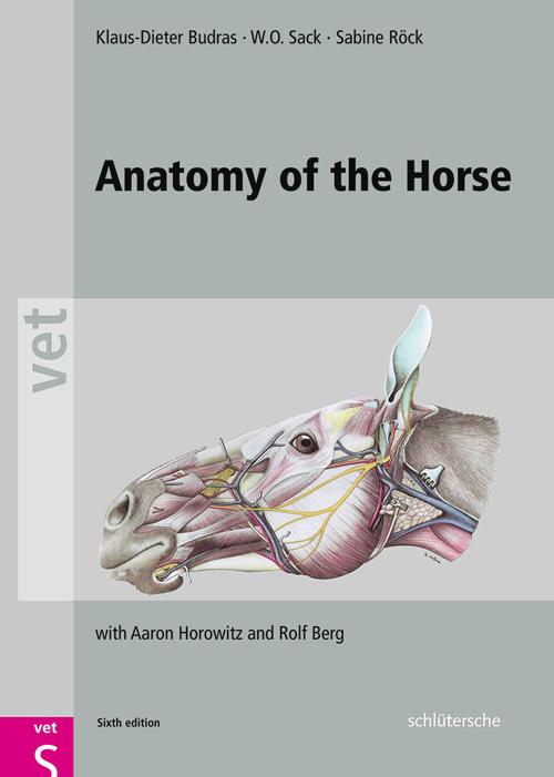Anatomy of the Horse.