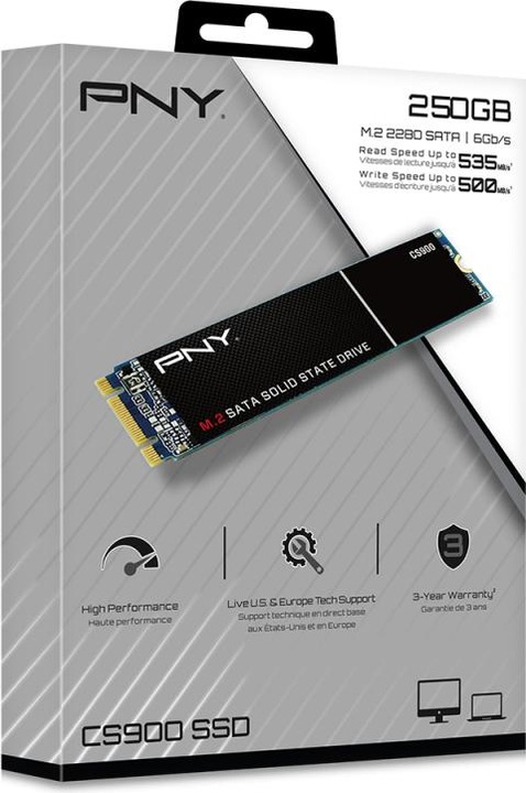Actual product image PNY CS901 (250 GB, M.2 2280)
