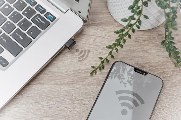 Immagine prodotto Digitus Adattatore WIFI USB Nano USB (USB 2.0)