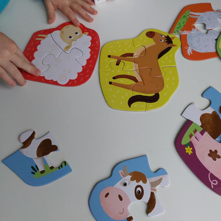 Actual product image Dodo Pets (18 pieces)