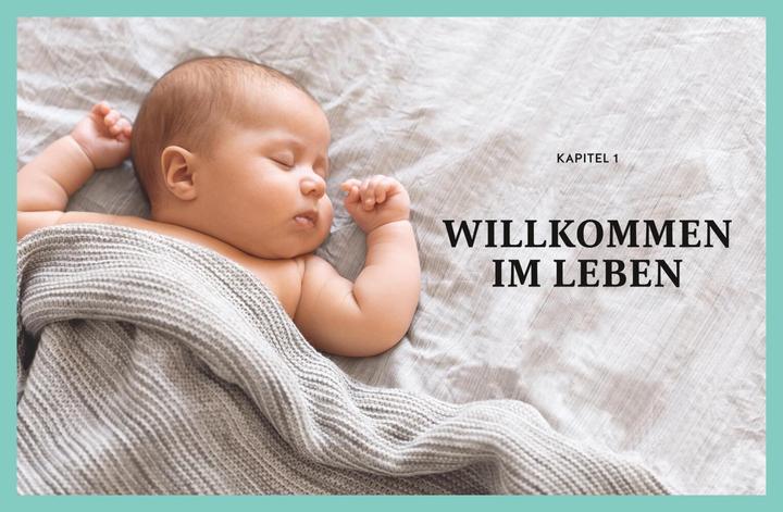 Immagine prodotto Das grosse Buch für Babys erstes Jahr (Tedesco, Annette Nolden, Stephan Heinrich Nolte, 2023)