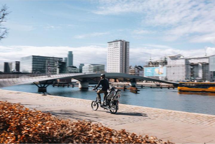 Immagine prodotto Thule Seggiolino per bambini Yepp Nexxt 2 Maxi (GT) (Portapacchi)