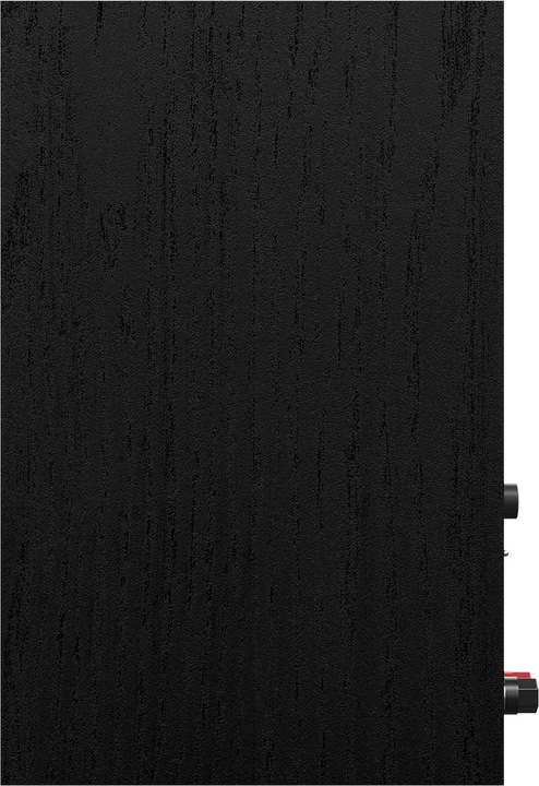 Actual product image Klipsch R-40PM (Set, 70 W)