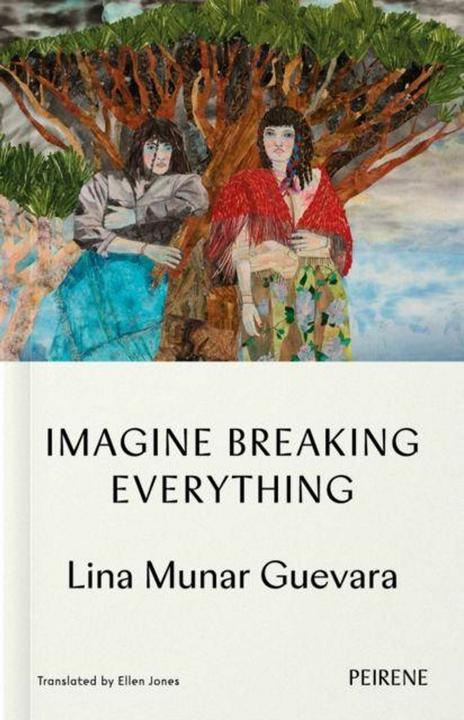 Image du produit Imagine Breaking Everything (Anglais, Ellen Jones, Lina Munar Guevara, 2025)