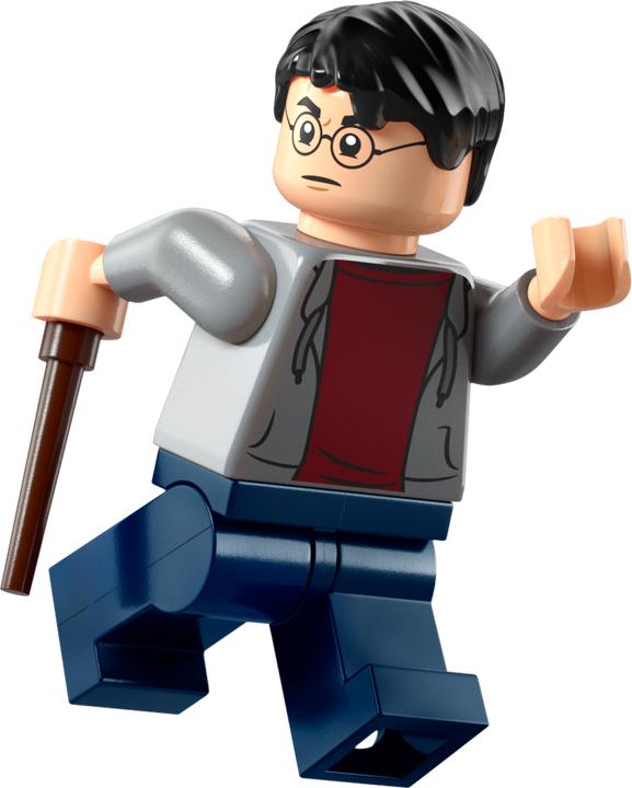 Actual product image LEGO Hagrids und Harrys Flucht aus dem Ligusterweg (76459, LEGO Harry Potter)