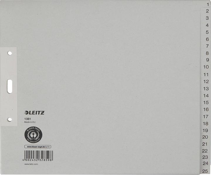 Actual product image Leitz Register paper