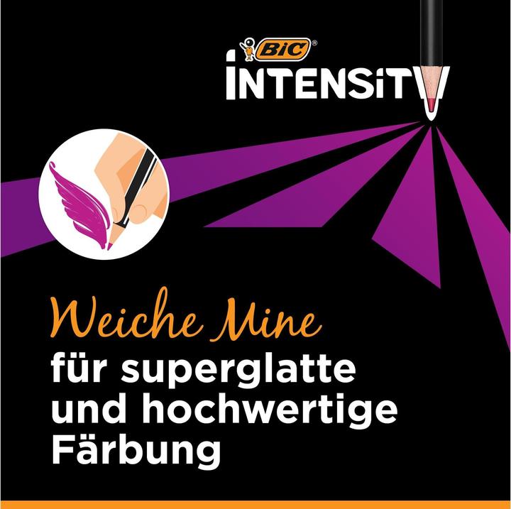 Actual product image Bic Color pencils Intensity (Assorted, 12 x)