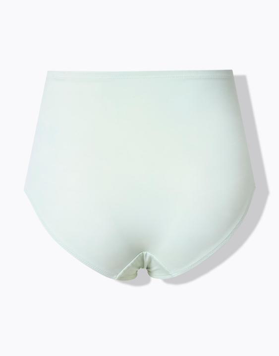 Actual product image Ulla Popken Satin Look Full Coverage Panty (62)