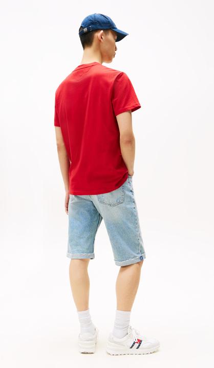 Productafbeelding Tommy Jeans Tjm Reg Rwb Dna Tee (M)