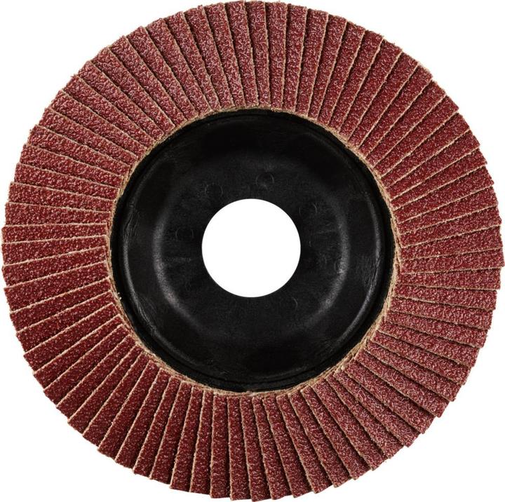 Actual product image Rhodius PROline LSA P1 flap disc 115 x 22.23 mm K60 (60)