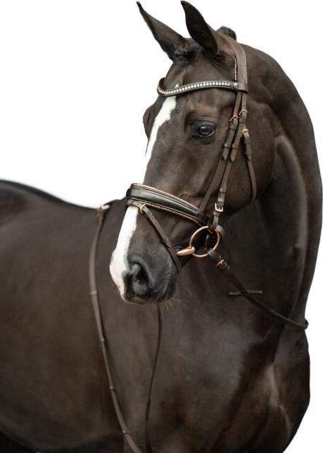 Image du produit HKM Bridle Sofia Brown/Rose Gold