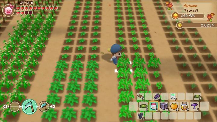 Actual product image Marvelous Story of Seasons: Friends of Mineral Town (Switch, DE)