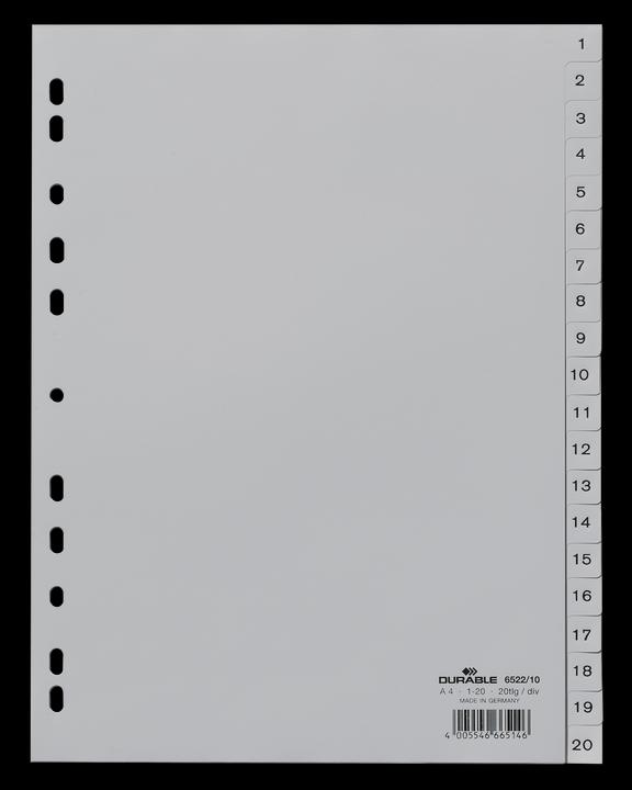 Image du produit Durable Enregistrer PP