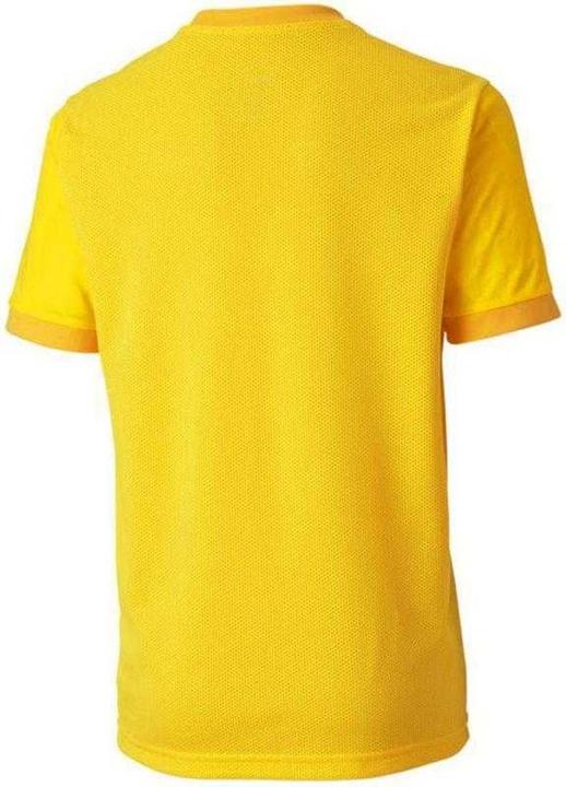 Produktbild Puma TeamGoal TShirt (128)