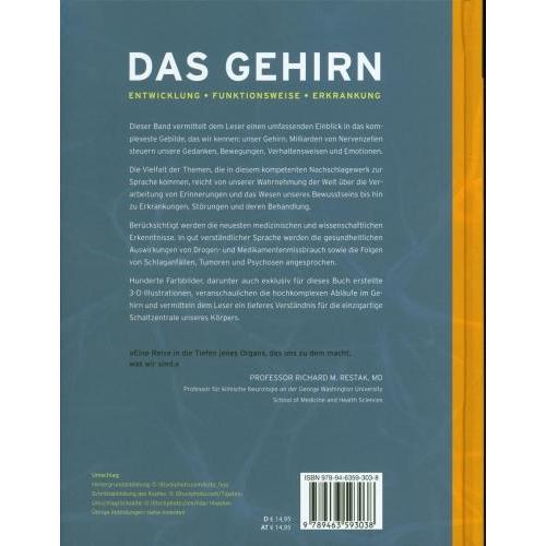 Thumbnail - Ashwell:Das Gehirn, Ratgeber von Ken Ashwell