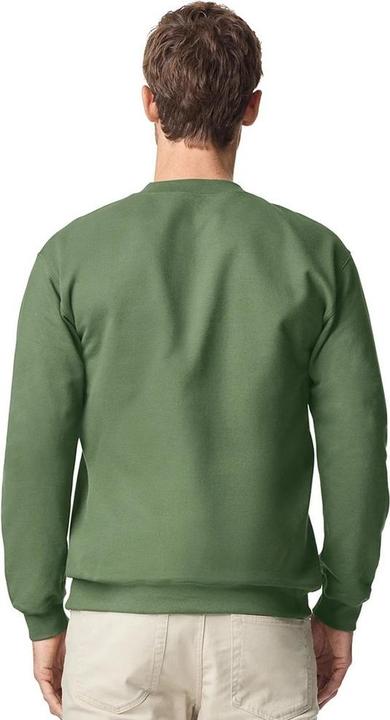 Image du produit Gildan - Sweat SOFTSTYLE - Adulte (S)