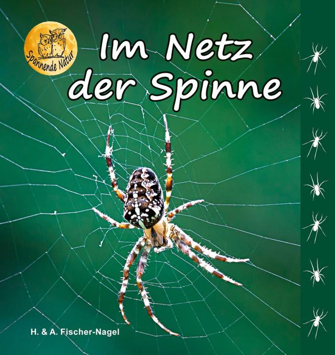 Produktbild Im Netz der Spinne (Deutsch, Andreas Fischer-Nagel, 2017)